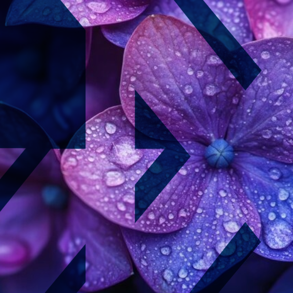 Blogvisuals-12-UX